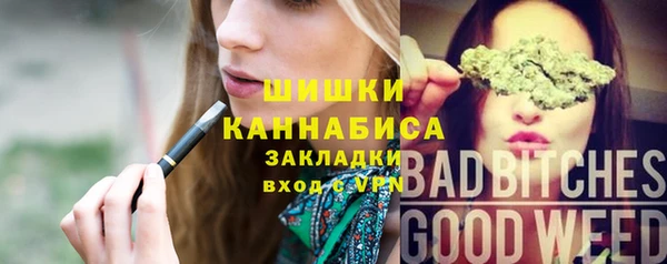 молекула духа Магадан