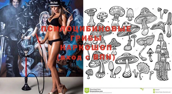 молекула духа Магадан